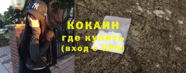 твердый Себеж