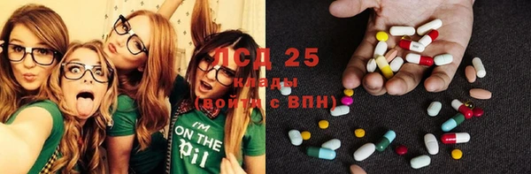 ECSTASY Майский