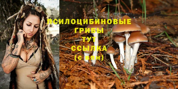 индика Магадан