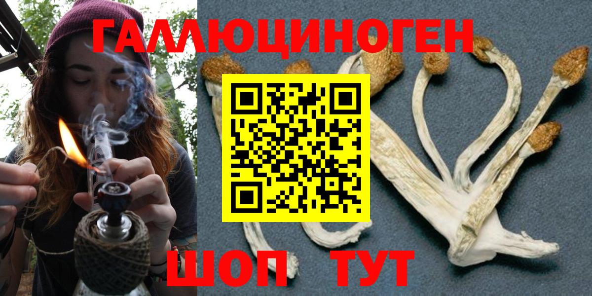 Галлюциногенные грибы мицелий Сосновоборск