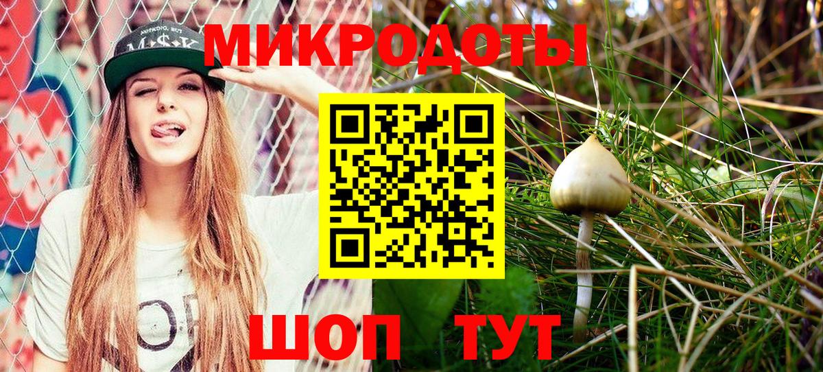 ГАШИШ Сосновоборск
