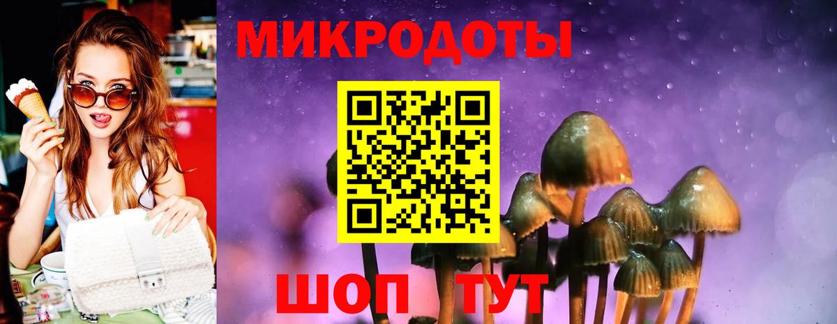 Псилоцибиновые грибы Cubensis Сосновоборск